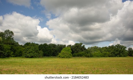 Rain clouds on the background of deciduous forest and meadow. Summer. Web banner.