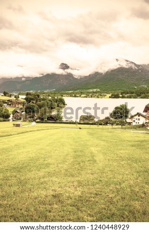 Similar – Image, Stock Photo Cow in the Austrian Pitztal valley