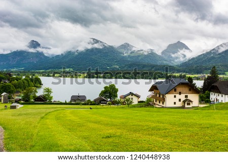 Similar – Image, Stock Photo Cow in the Austrian Pitztal valley