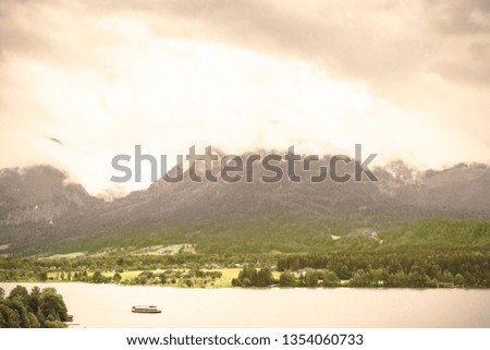 Similar – Image, Stock Photo Cow in the Austrian Pitztal valley