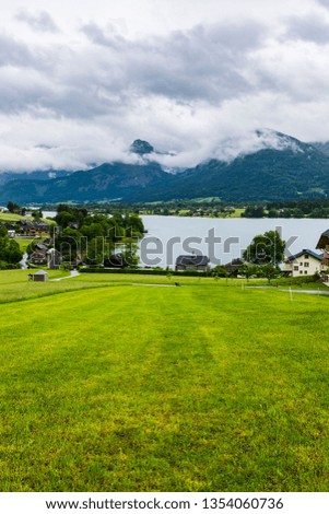 Similar – Image, Stock Photo Cow in the Austrian Pitztal valley