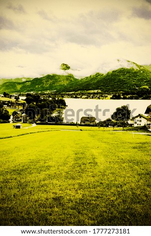 Similar – Image, Stock Photo Cow in the Austrian Pitztal valley