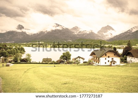 Similar – Image, Stock Photo Cow in the Austrian Pitztal valley