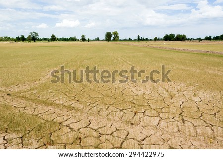 rain did not fall ,disastrous to farmer.