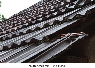 Rain Drenched Roof Tiles In Kerala