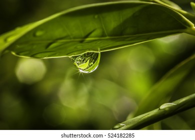 Rain Drop 1.0.5