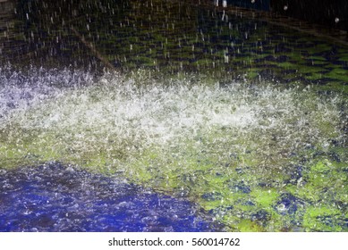 Rain Drop

