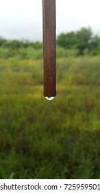 Rain Drop