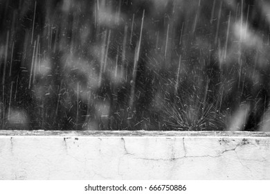 A rain drop. A rain drops falling down on black and white tone. 