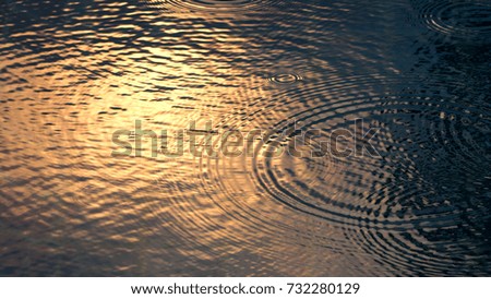 Image, Stock Photo wave dance in the light