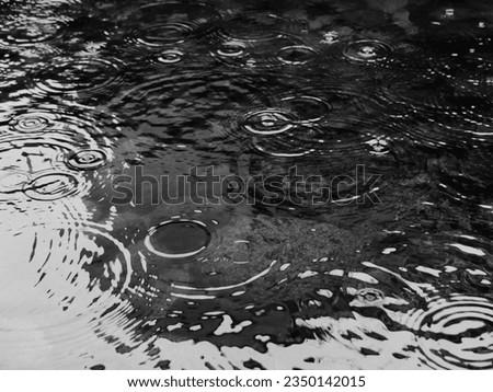 rain drop, nature, puddle, rain ripple