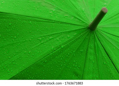 Rain Drop On Green Umbrella.
