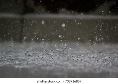 Rain Drop Splash