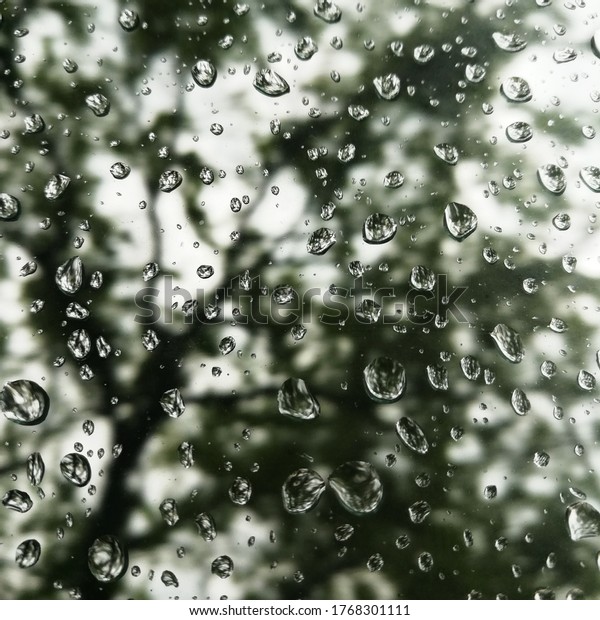 Rain droplets on car\
window