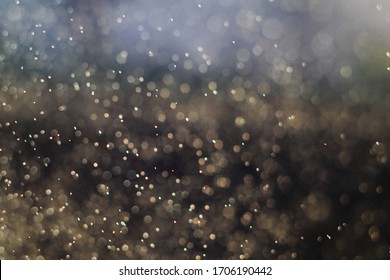 rain droplets on a sunny day - Shutterstock ID 1706190442