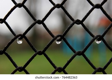 Rain Drops. Blur Background. Symetry