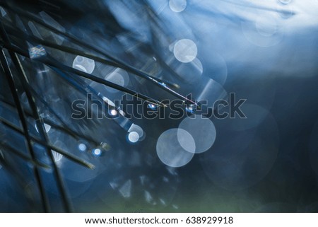 Similar – Image, Stock Photo abstract shapes with branches in nature