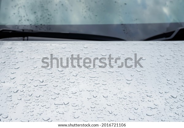 Rain drops and dew. water drops\
on a gray car roof after stopped raining , selective focus\
waterproof surface. soft focus. Leave space for writing text\
background.