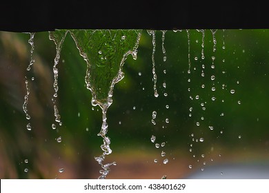 Rain drops fall continuously with blur green nature background.