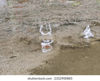 Rain drops fall into soil