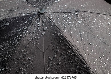 Rain Drops Falling From A Black Umbrella