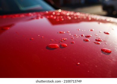 Rain Drops On Car Bonnet