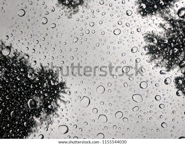 Rain drops\
on the car window sun roof in the\
forest