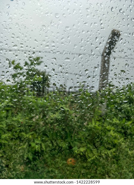 rain drops on my car window
