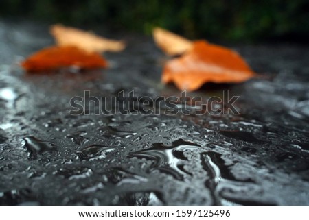 Similar – Image, Stock Photo bonnet decoration