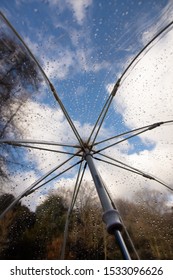 Rain Drops On A See Through Umbrella Looking Out On To Green Trees