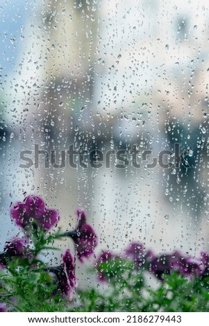 Rain drops on wet window and street violet flowers behind, blurred city bokeh. Concept of rainy weather, seasons, modern city. Place for text, vertical abstract background