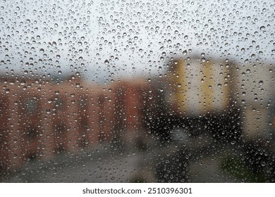 Rain drops on a window