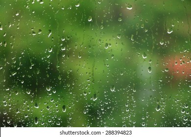 Rain Drops On Window With Green Tree In Background , Spring Rainy Day 