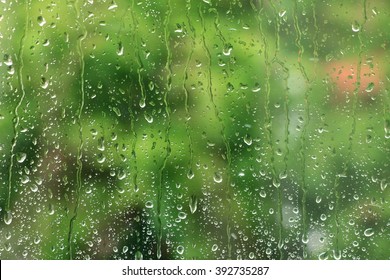 Rain Drops On Window With Green Tree In Background , Spring Rainy Day 