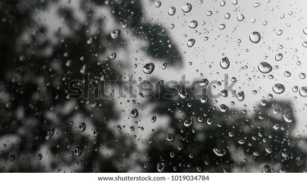 Rain drops on
window with green trees
background