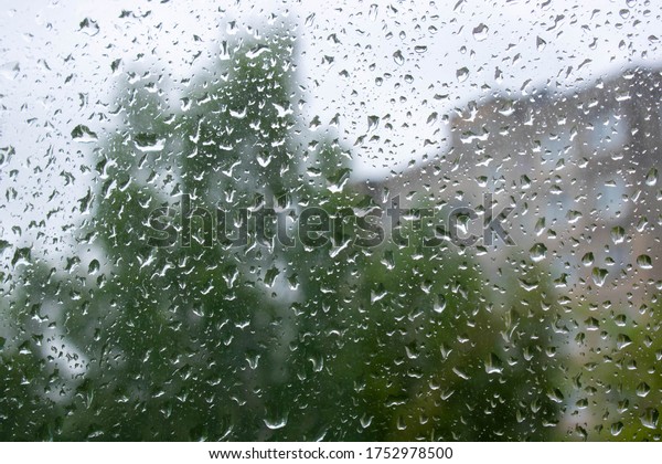 Rain drops\
on window with green tree in\
background