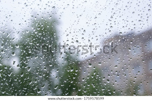 Rain drops\
on window with green tree in\
background