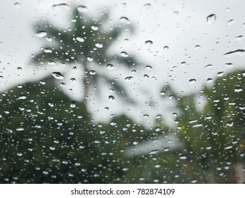 Rain drops on window with tree and sky background