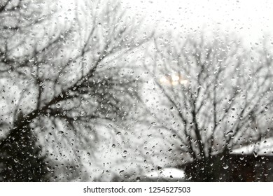 Rain drops on window with trees in background