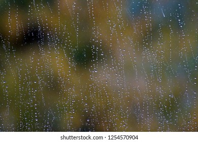 Rain drops on a window with trees in the background