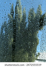 Rain drops on window with trees in the background.