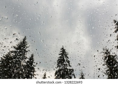 Rain drops on a window, with view to a fir tree forest, in the mountains, in summer