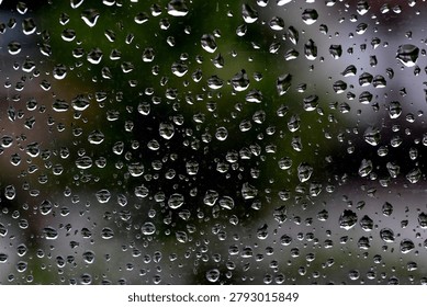 Rain drops on a windowpane