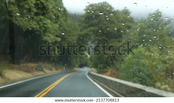Rain drops on windscreen, car driving in Yosemite\
foggy pine tree forest, Tioga road trip, California USA. Raindrops\
or droplets on windshield of auto in wood. Yellow dividing line\
markings on asphalt