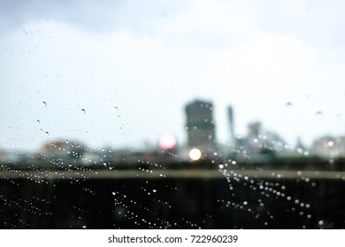 The rain fall and cityscape