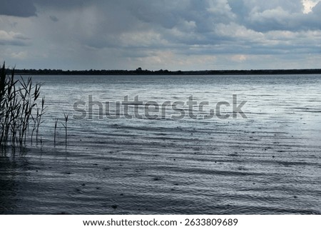 Rain falling on lake surface under moody cloudy sky — nature background with water ripples and reeds, dramatic landscape scene