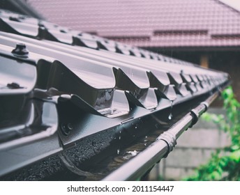 The Rain Falling On The Metal Roof