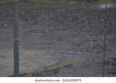Rain falling on a puddle