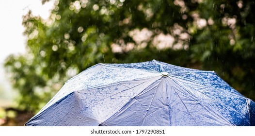 Rain Falling On Umbrella Weather Forcast