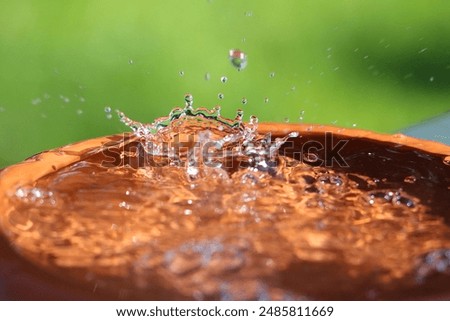 rain is falling in a small barrel full of water in the garden
